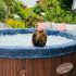 8 Best Hot Tub Aromatherapy in 2026
